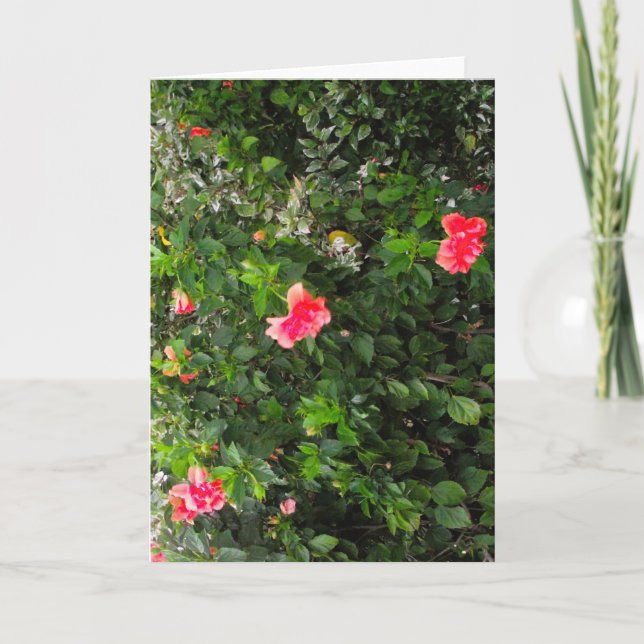 Greeting card with pink flowers (Front)
