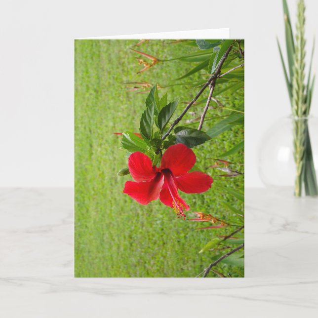 Greeting card with red flower on cover (Front)