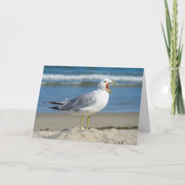 Greeting Card - Yawning Seagull (Front)