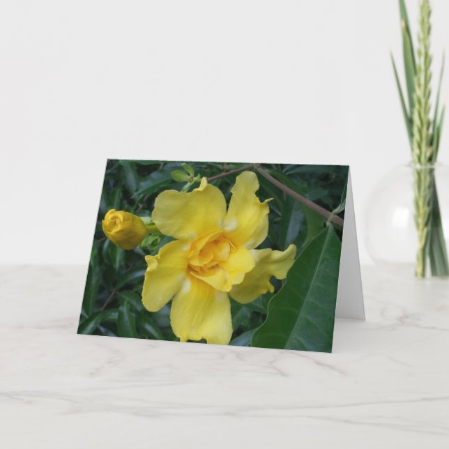Greeting Card - Yellow Flowers (Blank) (Front)