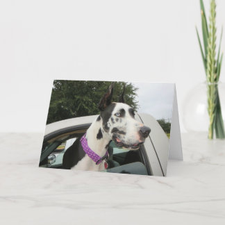 Greeting Cards by Dozer the Therapy Dog