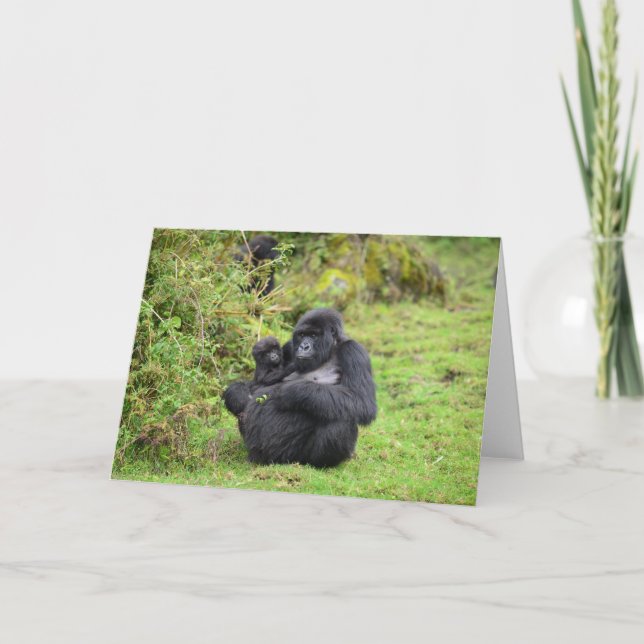 Greeting Cards Dian Fossey Gorilla Fund (Front)