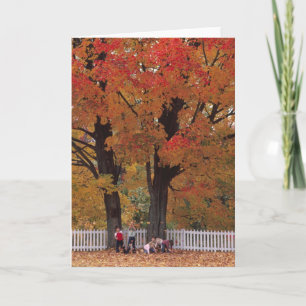 GREETING CARDS   KIDS AND LEAVES