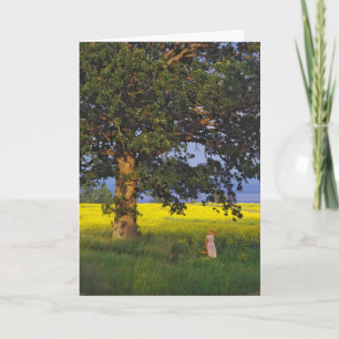 GREETING CARDS   NORTH HERO VERMONT