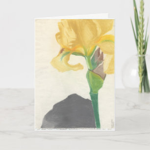Greeting Cards with "Yellow Iris" by Amber Larsen