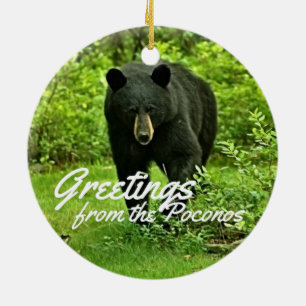 Greeting from the Poconos Backyard Black Bear Ceramic Ornament