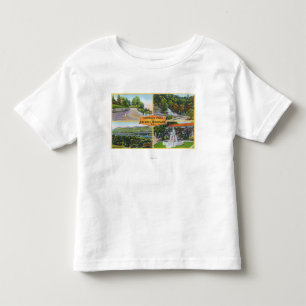 Greeting From with Scenic Views Toddler T-shirt