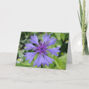 Greeting map blue cornflower, shapable in blank card