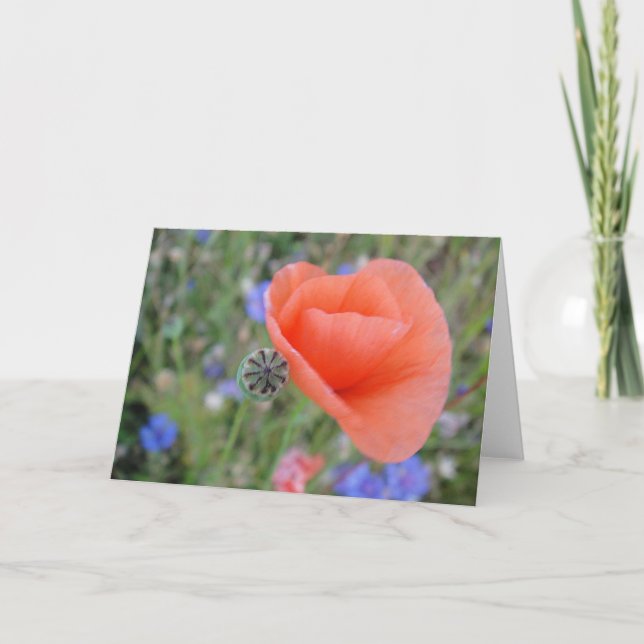Greeting map poppy flower heart, shapable in blank card (Front)