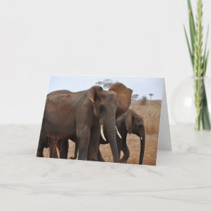 Greetings and Salutations Card