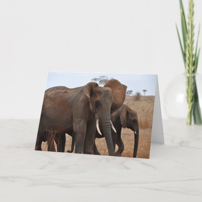 Greetings and Salutations Card (Front)