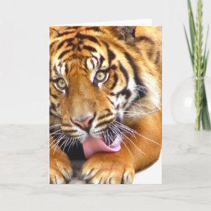 Greetings_ Card