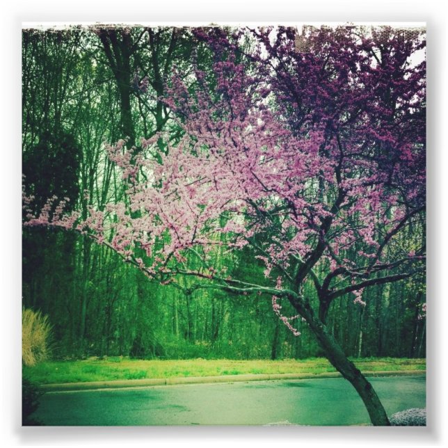 greetings card photo print (Front)