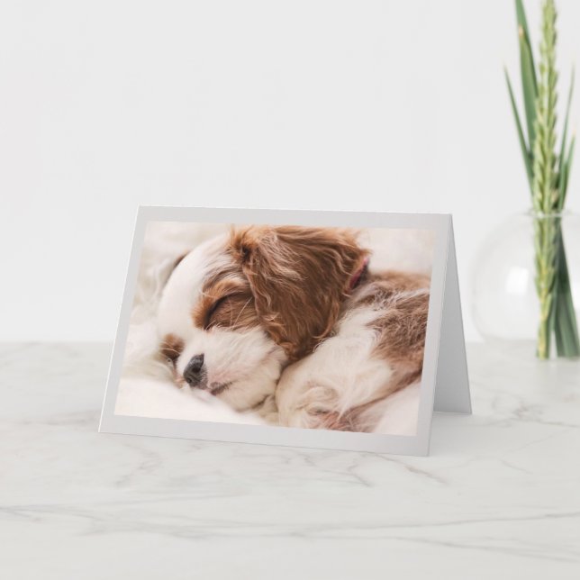Greetings Card - Sleeping Puppy (Front)