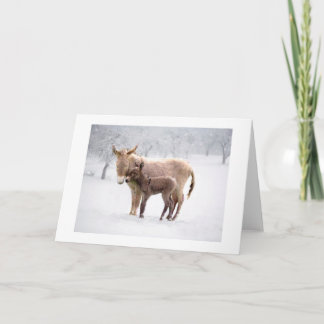 Greetings Card: Snowy Donkeys Card