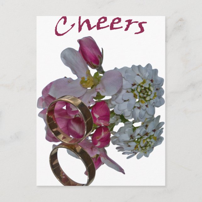 Greetings -Cheers Postcard (Front)