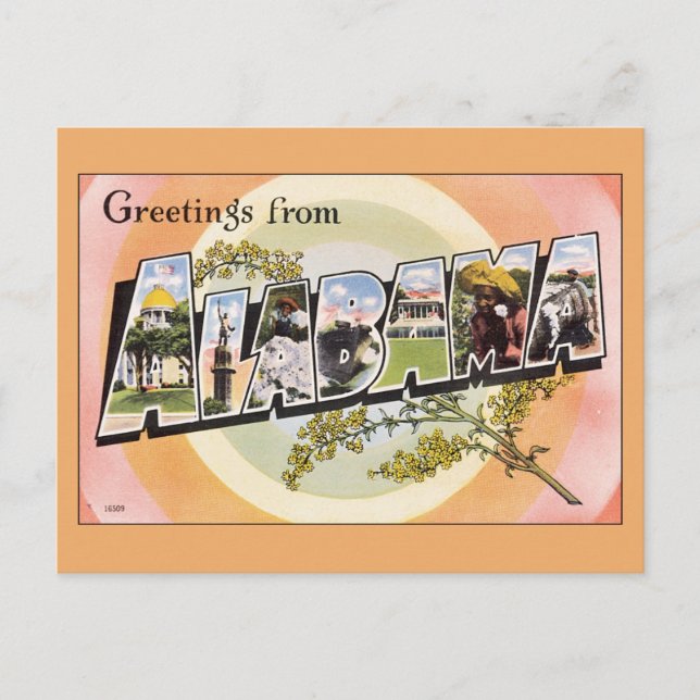 Greetings from Alabama Postcard (Front)