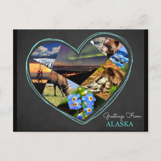 Greetings From Alaska ♥ Postcard