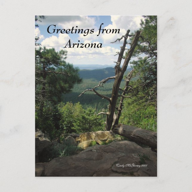 Greetings from Arizona Postcard (Front)