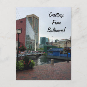 Greetings from Baltimore Postcard