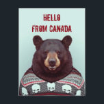 Greetings, from Bear Postcard<br><div class="desc">Who wouldn't want to get a postcard from a bear in a punk sweater? He looks pretty charming.</div>