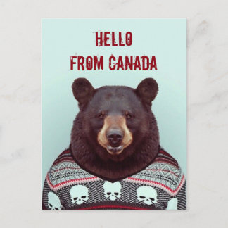 Greetings, from Bear Postcard