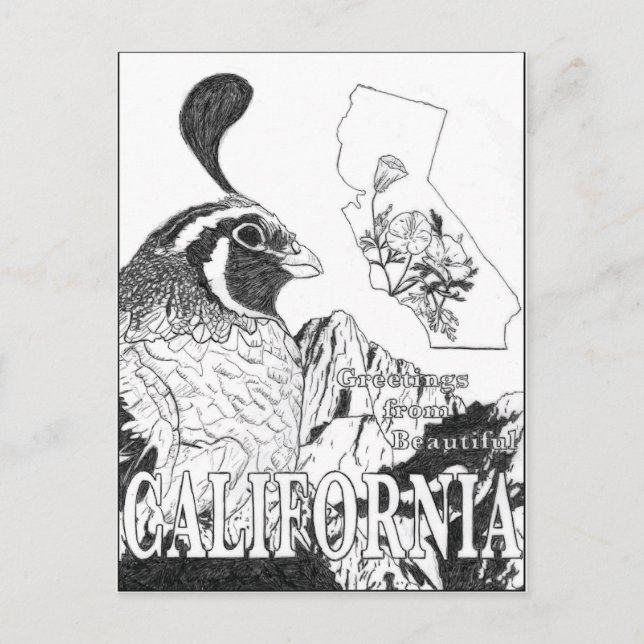 Greetings From Beautiful California Postcard (Front)