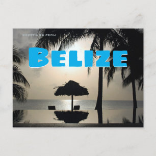 Greetings from Belize Postcard