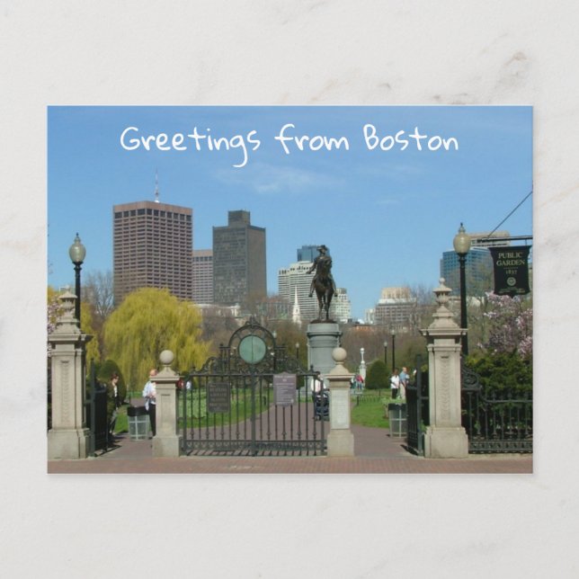Greetings from Boston Postcard (Front)
