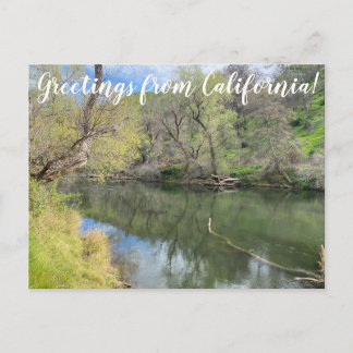Greetings from California: Putah Creek Postcard