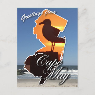 Greetings from Cape May Postcard