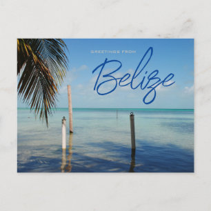 Greetings from Caulker Caye Belize Postcard