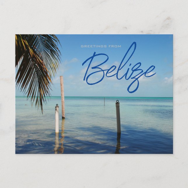 Greetings from Caulker Caye Belize Postcard (Front)