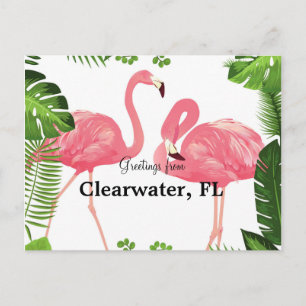 Greetings from Clearwater, FL Postcard