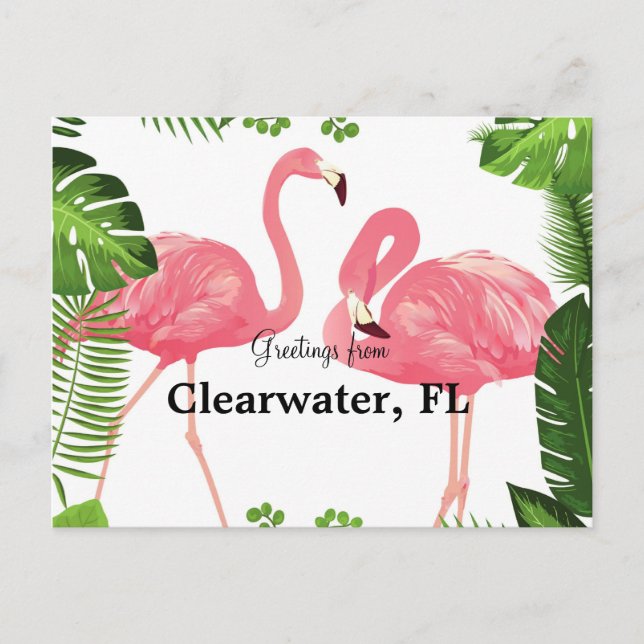 Greetings from Clearwater, FL Postcard (Front)