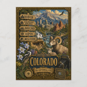 Greetings From Colorado Vintage Retro Art Postcard
