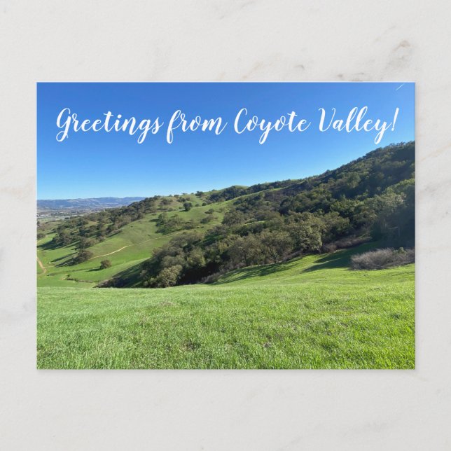 Greetings from Coyote Valley! Postcard (Front)