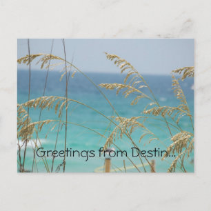 Greetings from Destin postcard