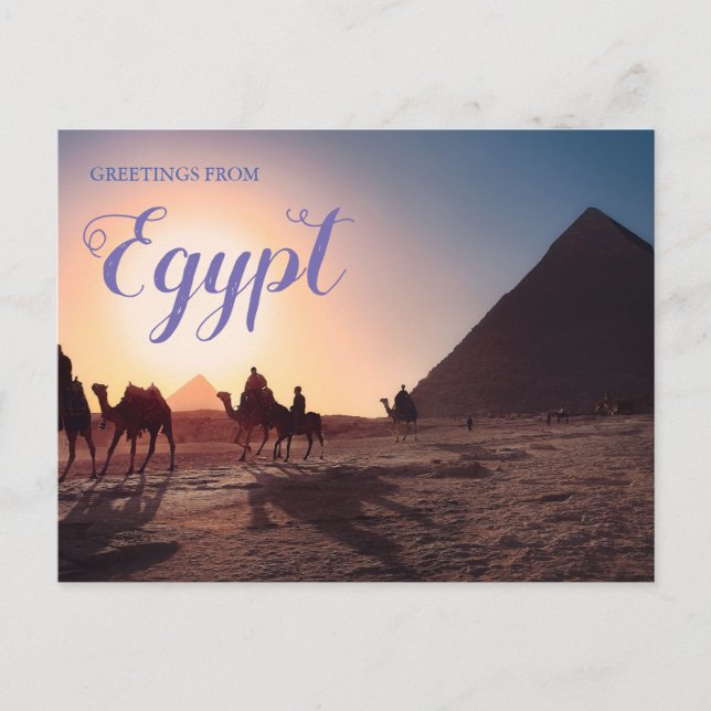 Greetings from Egypt Pyramids Postcard   (Front)