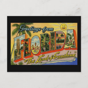 Greetings from Florida Land of Sunshine Postcard