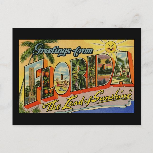 Greetings from Florida Land of Sunshine Postcard (Front)