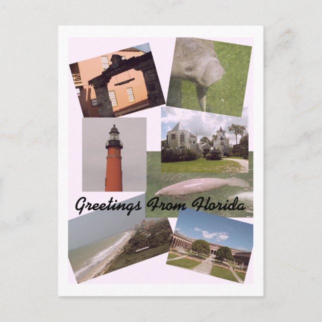 Greetings From Florida Postcard (Front)