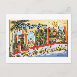 Greetings from Florida Postcard