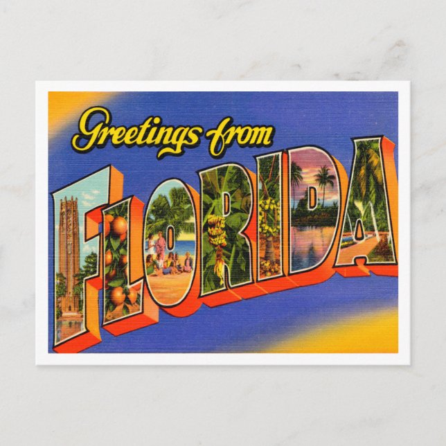 Greetings from Florida Vintage Travel Postcard (Front)