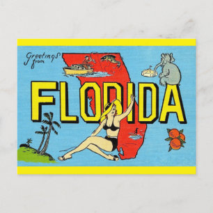  Greetings from Florida Vintage Travel -  Postcard