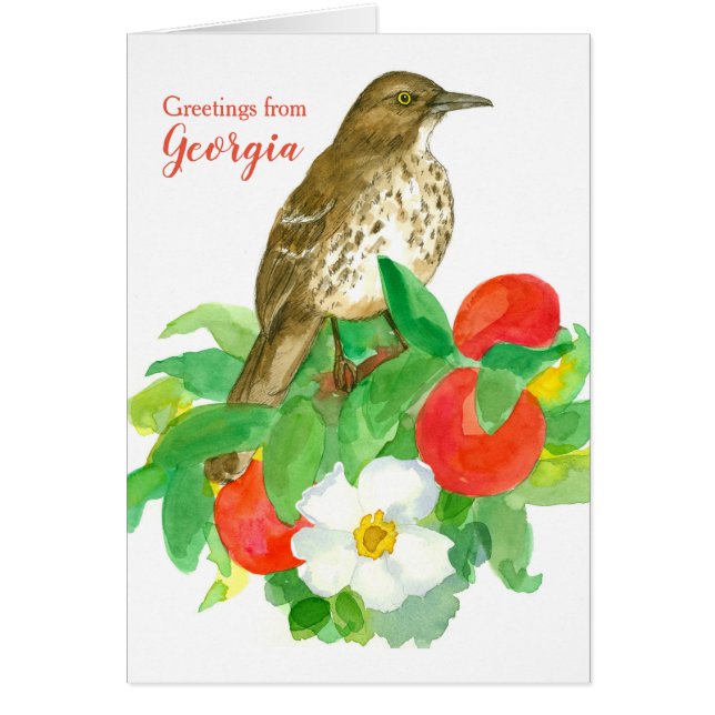 Greetings from Georgia Brown Thrasher Blank (Front)