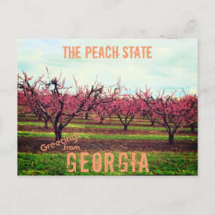 Greetings From Georgia Peach Orchard Postcard