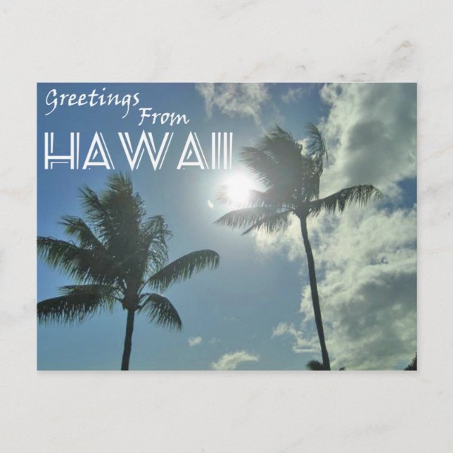 Greetings From Hawaii - Palm Trees Postcard (Front)