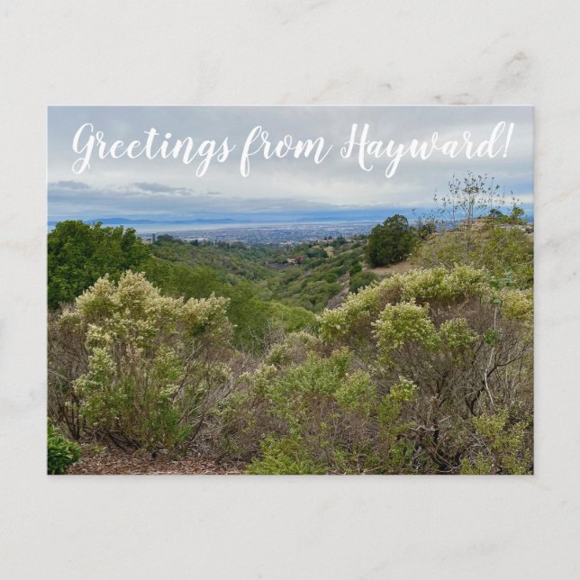 Greetings from Hayward! Postcard (Front)