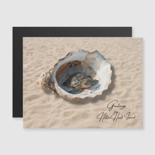 Greetings from Hilton Head Island Sea Turtle Card 